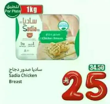 صدور دجاج ساديا