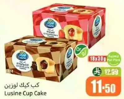 كعكه لوزين باصناف متنوعه تشمل الشوكولاته والفراوله.