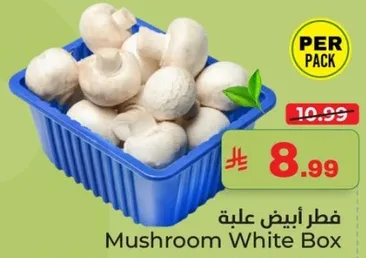 فطر ابيض علبه