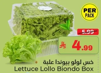 خس لولو بيوند علبه