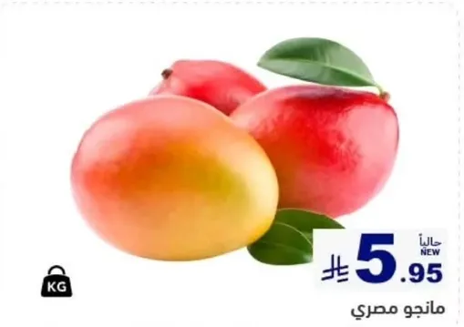 مانجو مصري طازج.