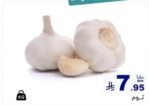 رووس ثوم طازجه.