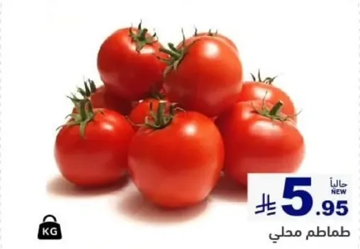 طماطم محلي