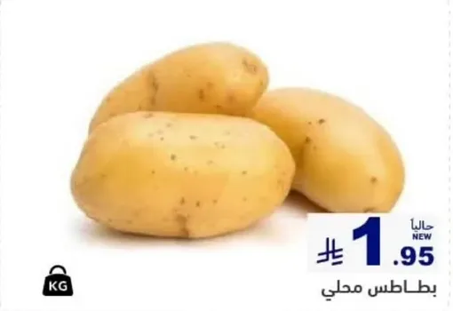 بطاطس محلي