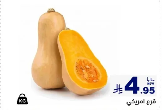 قرع امريكي، طازج وجديد.