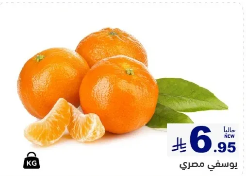 يوسفي مصري.