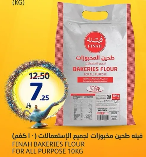 فينه طحين مخبوزات لجميع الاستخدامات ( 10 كغم )