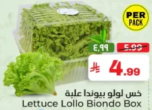 خس لولو بيوند علبه