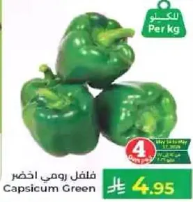 فلفل رومي اخضر
