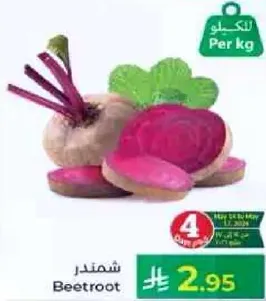 شمندر