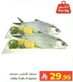 سمك الحليب مجمد