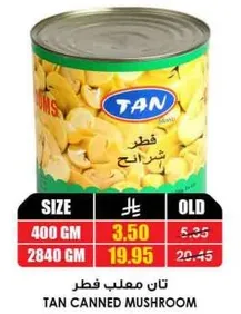 TAN Canned Mushroom