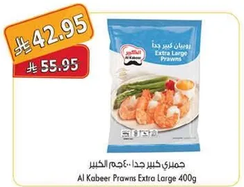جمبري كبير جدا.. عجم الكبير