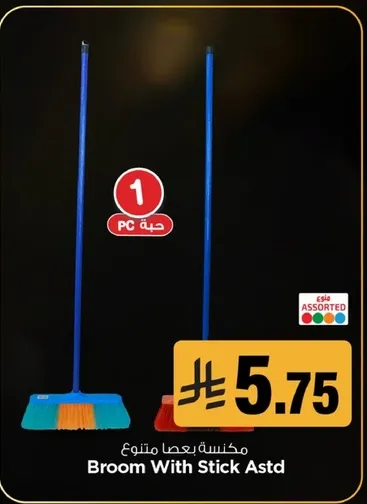 Broom With Stick Astd