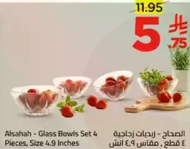 الصحاح - زجاجيات 4 قطع، مقاس 9.4 انش