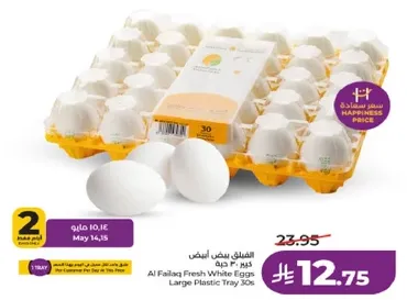 Al Failaq Fresh White Eggs Large Plastic Tray 30s
