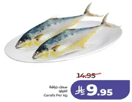 سمك جرافه للكيلو