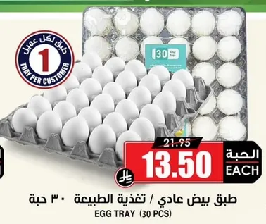 طبق بيض عادي / تغذيه طبيعيه - 30 حبه