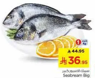 سمك الاسبريم كبير