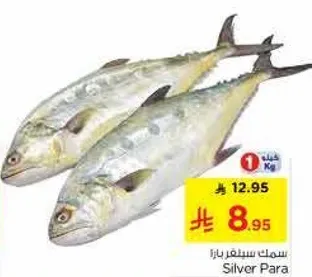 Silver Para Fish