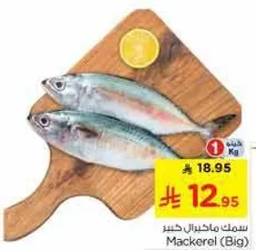 Mackerel (Big)