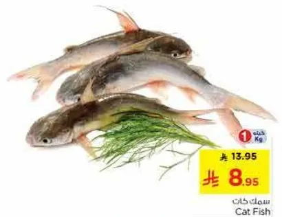 سمك كات
