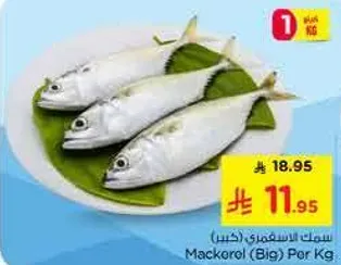 سمك الماكريل (كبير) لكل كيلو