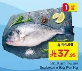 سمك سيبريم كبير لكل كيلو
