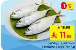 سمك الاسقمري (كبير) لكل كيلوجرام