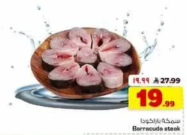 سمكه باراكودا