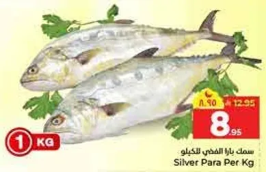 Silver Para Per Kg