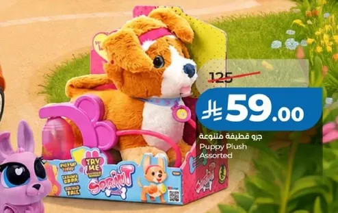جرو قطينه متنوعه