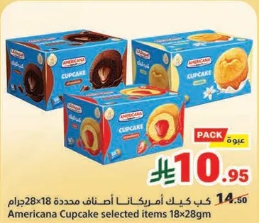كعك امريكانا اصناف محدده 18x28جم