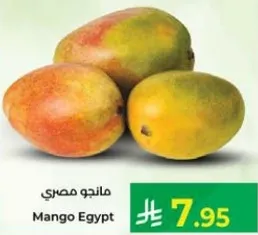 Mango Egypt