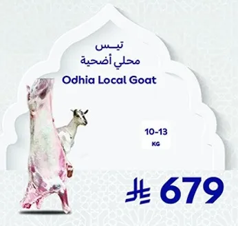 اضحيه محلي اودهي
