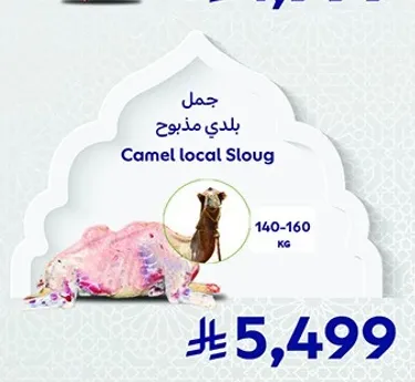 جمل بلدي مذبوح، الوزن 140-160 كجم.