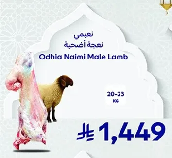 نعجه ناعمي