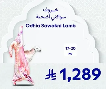 خروف سواكني اضحيه