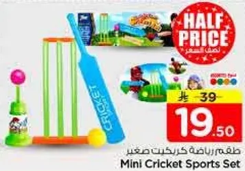 Mini Cricket Sports Set