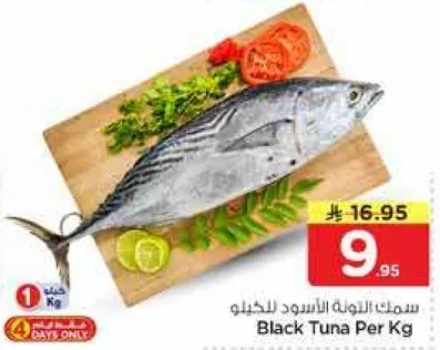 Black Tuna Per Kg