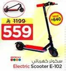 Electric Scooter E-102