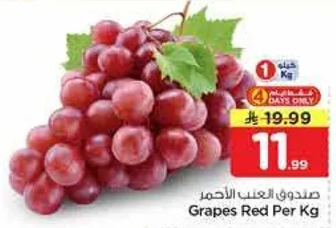 العنب الاحمر لكل كيلو.