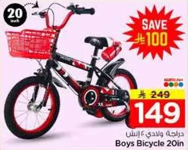 Boys Bicycle 20in