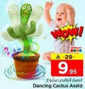 الصبار الراقص متنوع