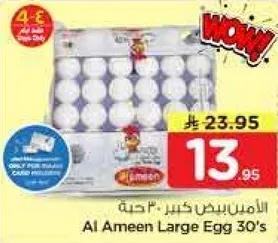 Al Ameen Large Egg 30's