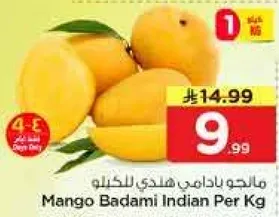 مالجو بادامي هندي للكيلو