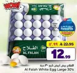 Al Falah White Egg Large 30's