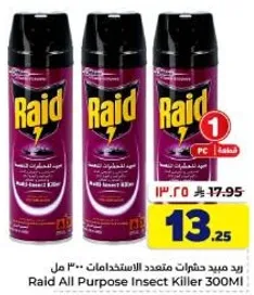 Raid All Purpose Insect Killer 300ml