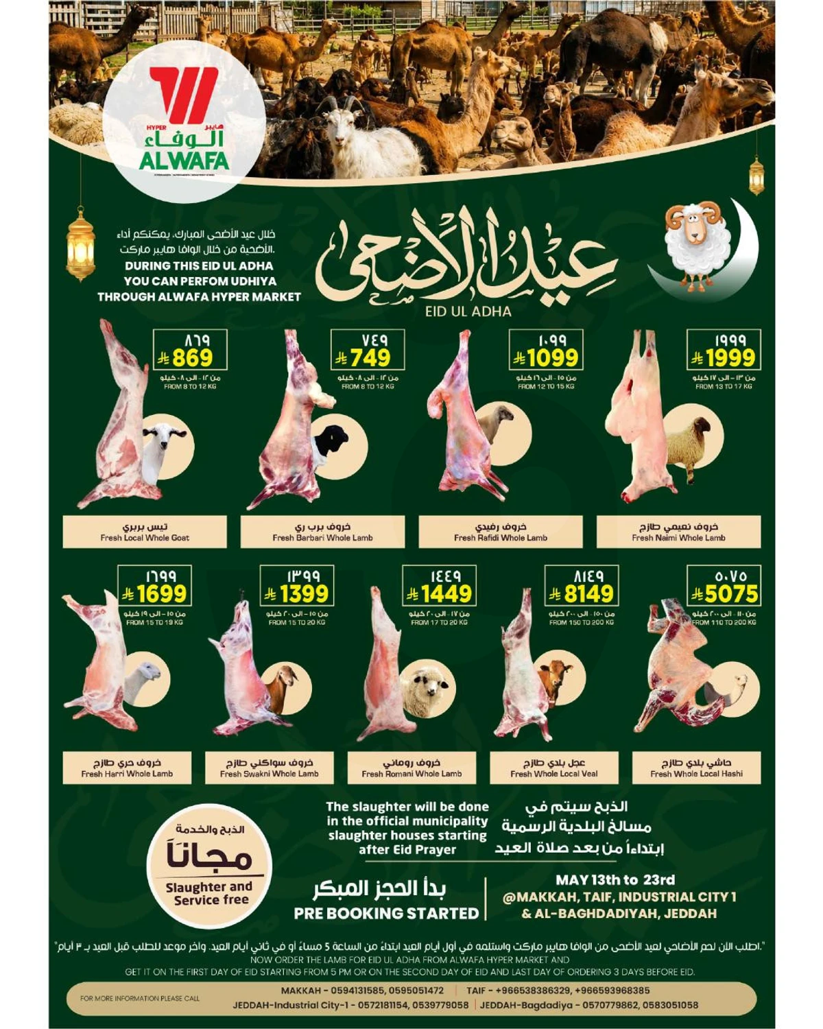 عروض حج مبرور - صفحة 40