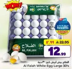 Al Falah White Egg Large 30's
